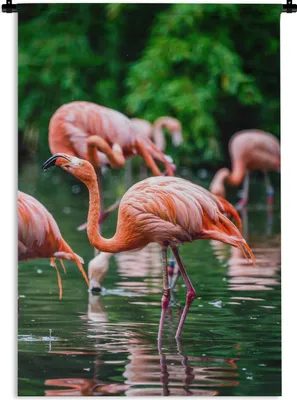 Produktbild von MuchoWow® Wandteppich Wandbehang Flamingo - Tropisch - Vogel - Wasser - Rosa 60x90 cm Tapisserie Dekoration Wandtuch - Foto-Teppich - Abwaschbar