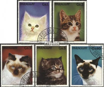 Produktbild von Briefmarken Paraguay 1989 Mi 4334-4338 (kompl.Ausg.) gestempelt Katzen