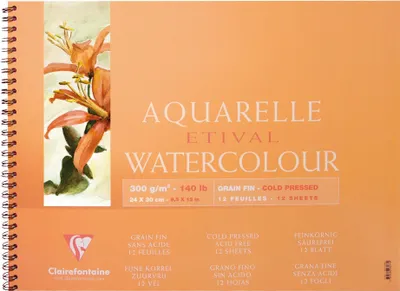 Produktbild von Clairefontaine 5x Etival Aquarellpapier feinkörnig 12 Blatt 24x30 cm - 96071C