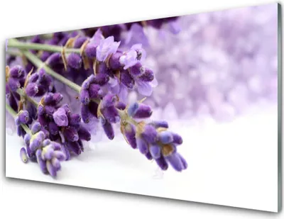 Produktbild von Acrylglasbilder 100x50 Wandbild Druck Blumen Pflanzen