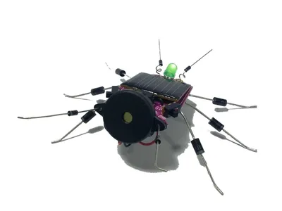 Image de Insecte à énergie Solaire