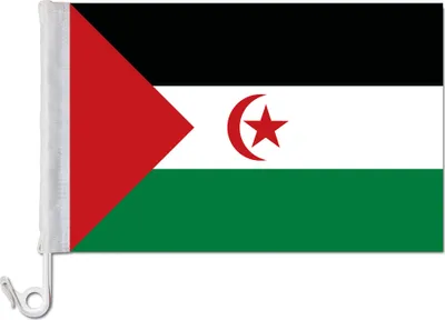 Produktbild von Auto-Fahne: Westsahara -