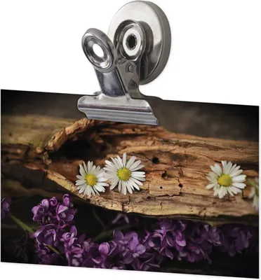 Produktbild von TimeTEX Set Magnet-Clips 31 mm, 3-tlg.