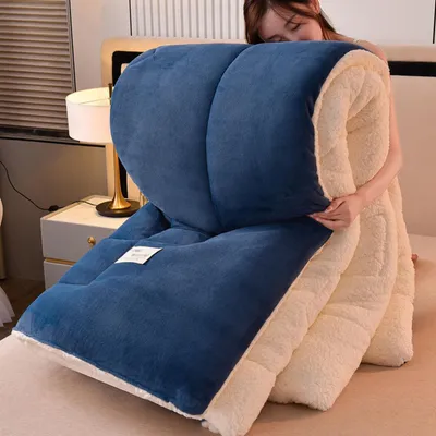 Obrázek produktu pro Teplá zimní deka z prodyšného plyše