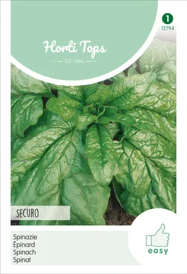 Productafbeelding van Spinazie Securo (15 g) | Spinaziezaad van Hortitops