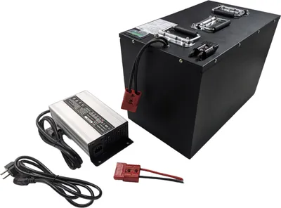Produktbild von 60V 60AH Lithium LiFePO4 Akku (410x220x195mm) Pedelec e bike e-bike Akkupack Roller Scooter PV