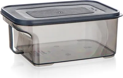 Image de Récipient avec poignée 2,6l ZOYA plastique