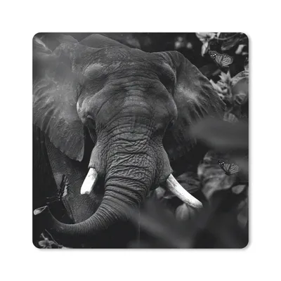 Produktbild von MuchoWow® Mauspad Mousepad Tiere - Elefant - Schmetterlinge - Schwarz - Weiß 30x30 cm - Mousepads - Maus Mat - Pad - Mausunterlage - Gaming