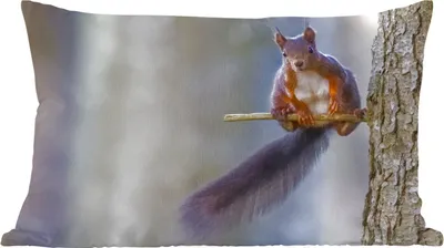 Produktbild von MuchoWow® Zierkissen Sofakissen Wohnzimmer Dekokissen 50x30 cm Waldtier - Eichhörnchen - Äste - Wohnzimmerdekoration - Polster mit Photo