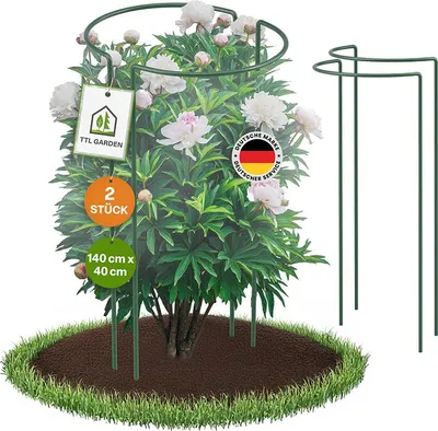 Produktbild von TTL GARDEN Strauchstützen 140×40 cm 2er Set – Pflanzenstütze grün aus Stahl