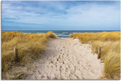 Produktbild von ARTland Leinwandbild Strand an der Ostseeküste Graal Müritz Größe: 60x40 cm