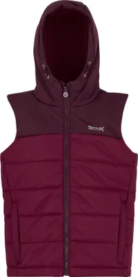 Produktbild von Regatta - "Lofthouse" Weste für Kinder RG12068 (170-176) (Feige/Dunkel-Orange)