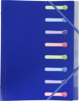 Image de Classeur à levier avec élastique A4