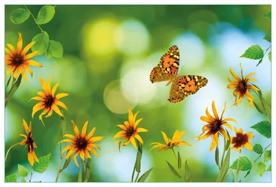 Produktbild von Wallario Küchenrückwand aus Glas, Größe: 90 x 60 cm, Motiv: Blumen mit Schmetterling | Spritzschutz | abwischbar | pflegeleicht | in