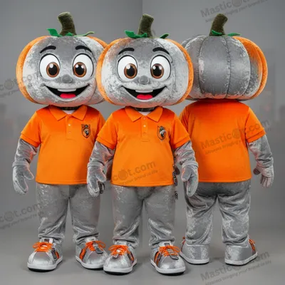 Image de Déguisement argenté de citrouille mascotte MASTICOT
