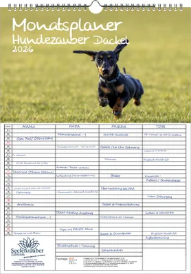Produktbild von Hundezauber Dackel Planer Familienplaner 4 Spaltenplaner DIN A3 Kalender für 2026 Welpen und Hunde - Seelenzauber