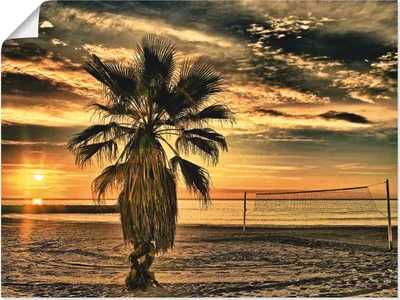 Produktbild von ARTland Poster Palme bei Sonnenuntergang Größe: 120x90 cm