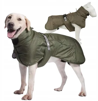 Produktbild von Petinio FREDO gefütterte Hundewinterjacke Grün XL für große Hunde