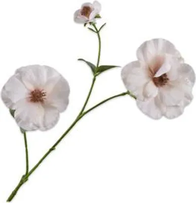 Produktbild von Silk-ka Kunstblume - Seidenblumen-Lisianthuszweig, cremefarben, 72 cm, 2 Stück