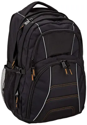 Productafbeelding van AmazonBasics NC1306167R1, Laptophoes, 43,2 cm (17 inch), 898 gram
