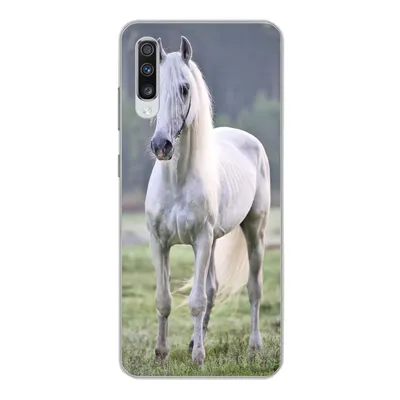 Produktbild von MuchoWow® Handyhülle Schutzhülle Hülle für Samsung Galaxy A70 Pferd - Licht - Morgen Silikon Softcase Handy Hülle - Schutzhaube