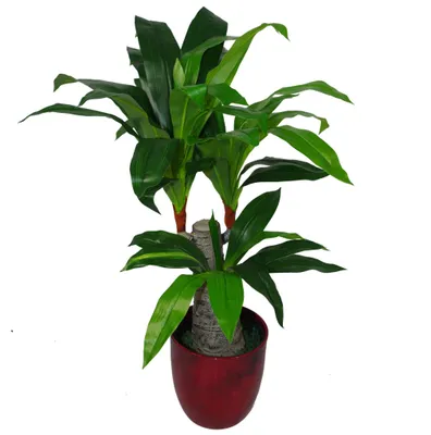 Productafbeelding van Leaf Design UK, kunstplant, brede stam met DRIE takken, kunststof, 7 [eenheid, waarschijnlijk cm of een ander formaat]