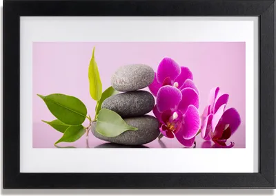 Produktbild von Bild 30x20 MDF-Rahmen Wandkunst Orchidee Orchidee Blumen