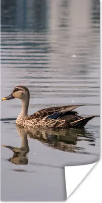 Produktbild von MuchoWow® Poster Ente - Wasser - Vogel - Braun 20x40 cm - Plakat - Foto
