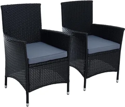 Two black rattan garden chairs with gray cushions are shown against a white background.