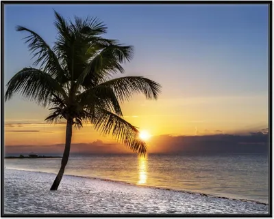 Produktbild von Wallario Wandbild Palme am Strand - Sonnenuntergang über dem Meer, Größe: 40,30 x 50,30 cm, Poster mit schwarzem Aluminiumrahmen