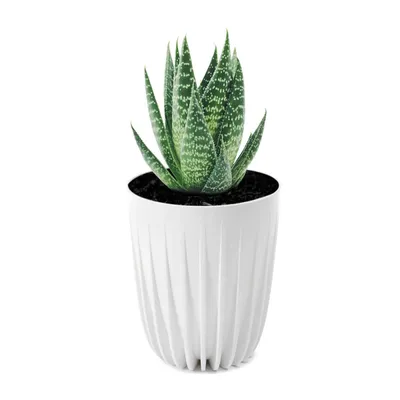 Obrázek produktu pro Květináč Stripped ECO recycling bílý 25xh30 cm