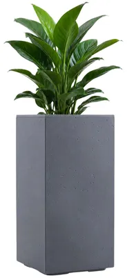 Produktbild von HowHomely Pflanztopf auf Rollen Blumenkübel 30x30xH60 cm grau Pflanzgefäß