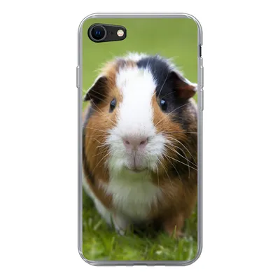 Produktbild von MuchoWow® Handyhülle Schutzhülle Hülle für iPhone SE 2022 Zwei Meerschweinchen Silikon Softcase Handy Hülle - Schutzhülle