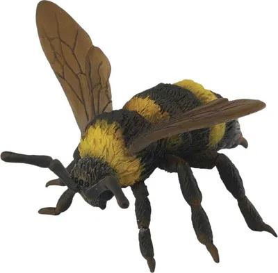 Immagine prodotto di COLLECTA Bumblebee - (L)