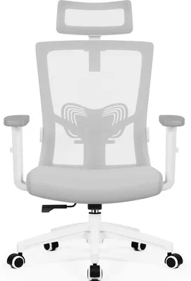Produktbild von Aiibot Bürostuhl Ergonomisch, Schreibtischstuhl mit Verstellbarer Kopfstütze, Armlehnen, Lendenwirbelstütze, Chefsessel, Drehstuhl, Bürostuhl 150kg