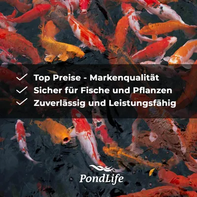 Produktbild von Pondlife Belüfterstein Hi Oxygen Ausströmer 13 x 3 cm