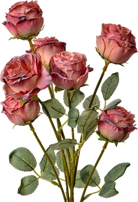 Produktbild von Clayre & Eef Kunstblume Rose 55 cm Rosa Kunststoff