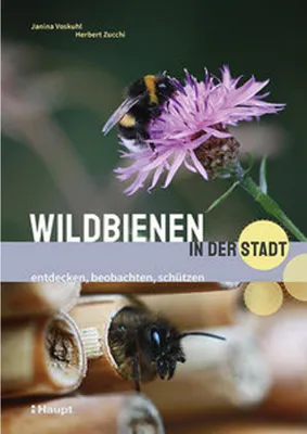 Image de Wildbienen in der Stadt