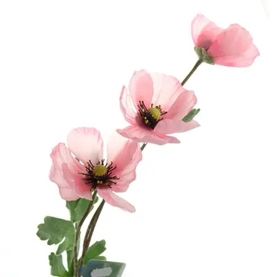 Produktbild von Kaemingk Mohnblütenstiel Rosa 70 cm - Kunstblumen