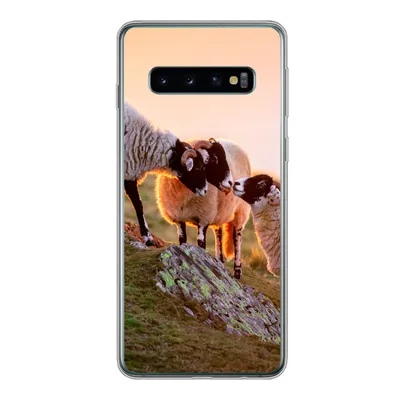 Produktbild von MuchoWow® Handyhülle Schutzhülle Hülle für Samsung Galaxy S10 Schafe - Tiere - Sonnenuntergang Silikon Softcase Handy Hülle - Handytasche