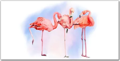Produktbild von Coloray Küchenrückwand 100x50 Spritzschutz aus Glas - Tiere Vögel Flamingos