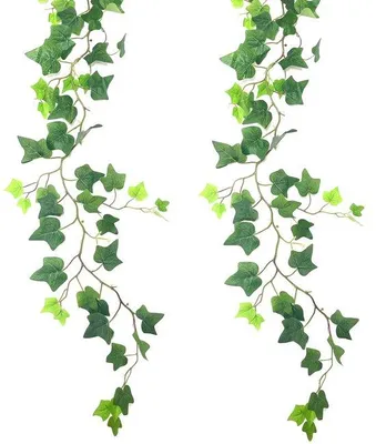Produktbild von Kunstmatige Klimopranken 1,6 Meter 2 Stück Bladgarland für Innen- und Außenraum