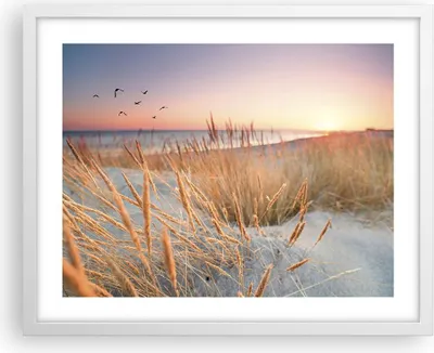 Produktbild von Gerahmtes Poster - Weißer Rahmen - Sonne Vögel Sand - 50x40 cm - Wand Bild - Wanddeko - Wandbilder - Kunstposter - Wandposter - Bilderrahmen - Bilder - Kunstdruck - Wanddekoration - P2WAA50x40-4810
