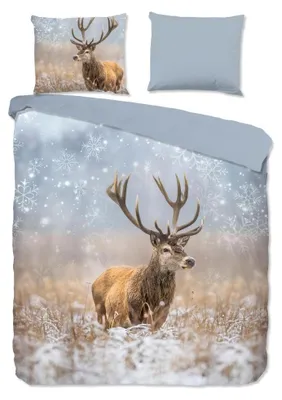 Produktbild von Good Morning Bettwäsche "Jolly" - Multi - (200x220 cm) - 100 % Baumwolle