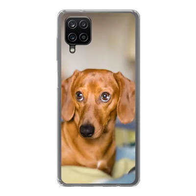 Produktbild von MuchoWow® Handyhülle Schutzhülle Hülle für Samsung Galaxy A12 Dackel liegend auf einem Bett Silikon Softcase Handy Hülle - Bild