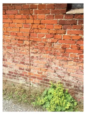 Produktbild von Rankgitter Stab Stecker Laternenstab Rankhilfe Orchidee Rankstab Rankgerüst Metall Eisen Rost Deko 160 cm