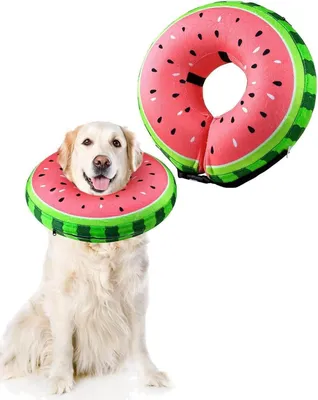 Produktbild von Aufblasbare Halskrause Hund Katze Leckschutz XL Pink