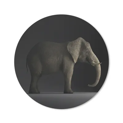 Produktbild von MuchoWow® Mauspad Mousepad Elefant - Tiere - Licht 20x20 cm - Mousepads - Maus Mat - Pad - Mausunterlage