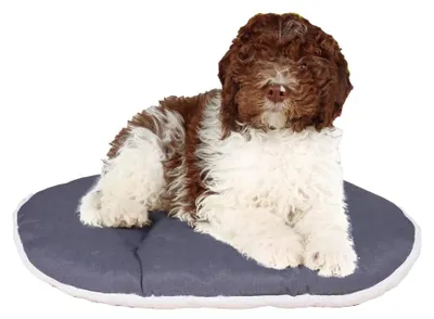 Image de Coussins pour chiens et chats en coton et en peluche