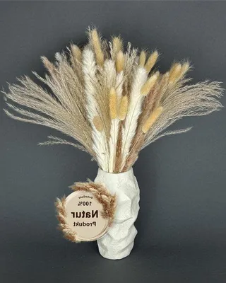 Produktbild von Famanu Trockenblumenstrauß mit Pampasgras - Elegante Dekoration für jedes Zuhause
